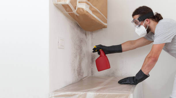Professional Bathroom Mold Removal technician working in Friendship, MD